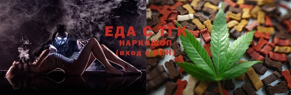 индика Богородск