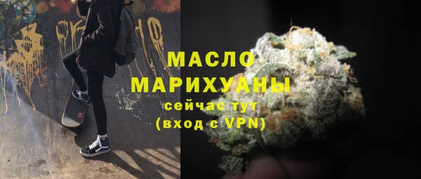 индика Богородск