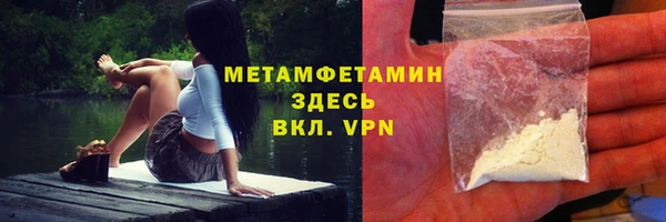 индика Богородск