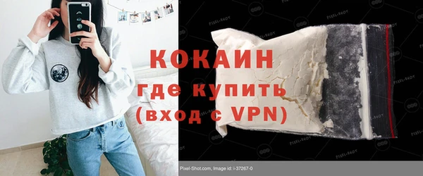 индика Богородск