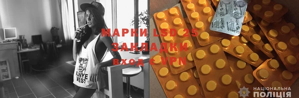индика Богородск