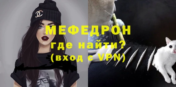 индика Богородск
