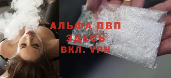 индика Богородск