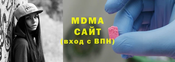 индика Богородск
