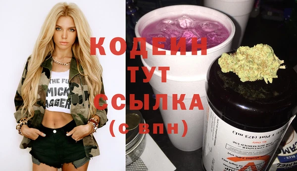 сатива Бородино