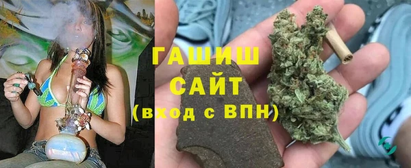 индика Богородск