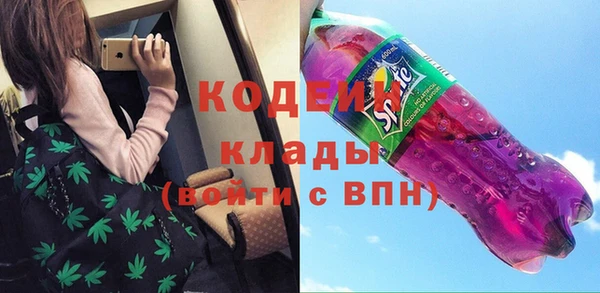 индика Богородск