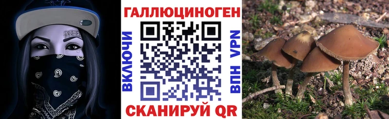 Галлюциногенные грибы Magic Shrooms  Купить  Енисейск 